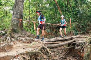 BIB: 
                            <button type="button" onclick="openModal(27725741)" class="btn btn-primary btn-sm float-right btn-popup" data-toggle="modal" data-target=".modal-high-quality">
                        <i class="fas fa-shopping-cart"></i> Add to Cart
                    </button>
                                            <button type="button" onclick="isThisMe(27725741, true)" class="btn btn-success btn-sm float-right btn-popup btn-isme hidden" data-toggle="tooltip" data-placement="bottom" title="นี่คือรูปของคุณใช่ไหม คลิกที่นี่เพื่อเอาเข้าอัลบั้ม">
                        <i class="fas fa-plus"></i> Add to album
                    </button>
                    <button type="button" onclick="isThisMe(27725741, false)" class="btn btn-warning btn-sm float-right btn-popup btn-isnotme hidden">
                        <i class="fas fa-ban"></i> Remove from album
                    </button>